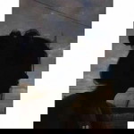 จื่อ มิน อยังกะได้ profile icon