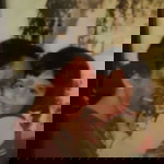 Mahima Puri Kanwar profile icon