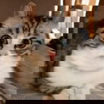 Insan Tak Sempurna profile icon