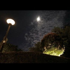 Day Hdh profile icon