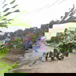 Yusuf Nolduabelas profile icon