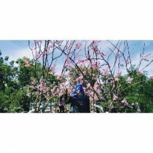 Indah Hofifah profile icon