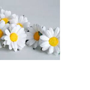 Wanwika Samart profile icon