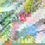 Rizzapots Correa profile icon