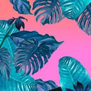 chayaphon B profile icon