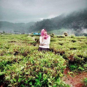 Siti Nurh profile icon