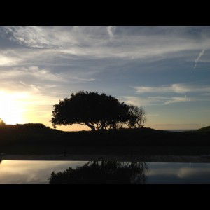 kristell may cabales profile icon