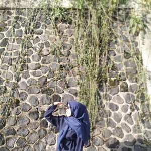 Intan Pratiwi profile icon