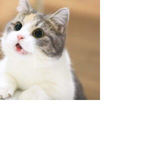 นวรา ทองคูณ profile icon