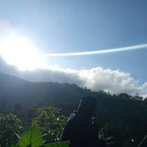 Sifa Mudrikah profile icon