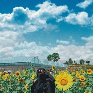 Vega Mustika profile icon