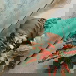 Mentari Pertiwi profile icon