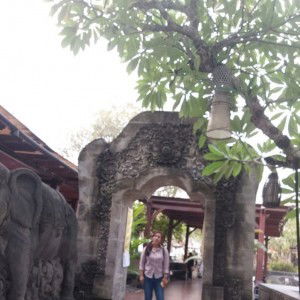 Ninot’s Life profile icon