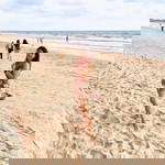 Tiw Patcha profile icon