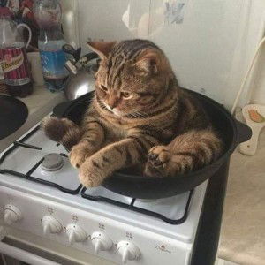 Masniezah Wati Majin profile icon