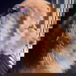 Jullie Chen profile icon