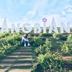 Suốt Kòi profile icon