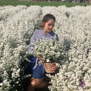 Eurng Usanee profile icon