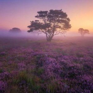 More Than December profile icon