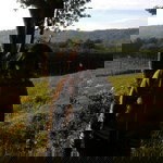 Maria Yosephine profile icon