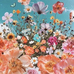 justine anne profile icon