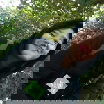 Tiaaa Sullis profile icon