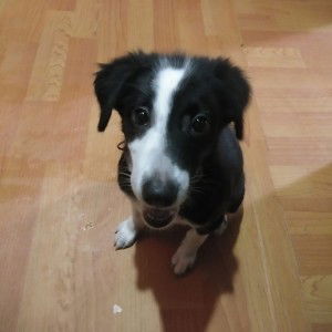 Rayleigh Hernandez profile icon