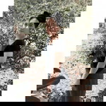 Wanitsara Rungsantia profile icon