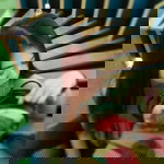 Nichanan Moohuana profile icon