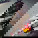 Chadaporn Yoojoo profile icon