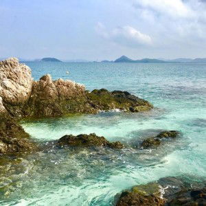 บลู พบู profile icon