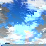 Heny Kosongsongonem profile icon