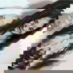 Joiy'Nanthana Chueakasat profile icon