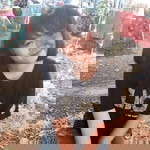 ดรีม- ทีม. profile icon