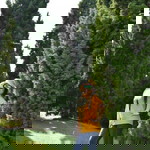 Vanida Pipob profile icon