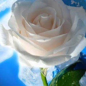 puspita larasati profile icon