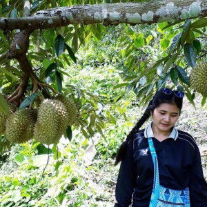 หงษ์ฟ้า สุระคนธ์ profile icon