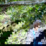 หงษ์ฟ้า สุระคนธ์ profile icon