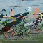 Yulia Wdj profile icon