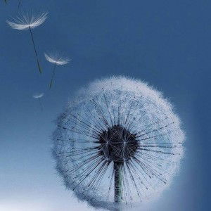 Isti achmad profile icon