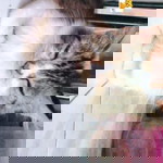 Milati Rosa Soleha profile icon