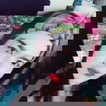 Wasine Onmak profile icon