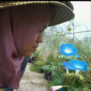 cucu sumarni profile icon