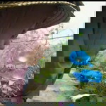 cucu sumarni profile icon