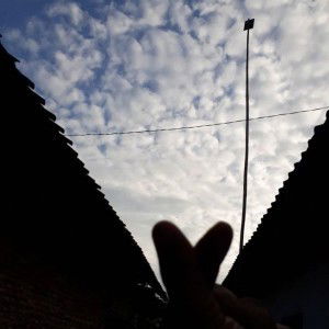 Adnan Khiar Ardhani profile icon