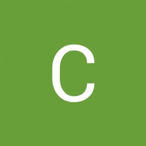 Cindy Algabre profile icon