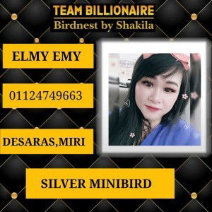 Elmy Emy profile icon