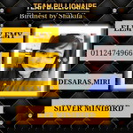 Elmy Emy profile icon