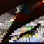 Talitha Rachma profile icon