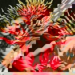 Jerryll Tess Gaffud Ramones profile icon